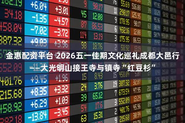 金惠配资平台 2026五一佳期文化巡礼成都大邑行——大光明山接王寺与镇寺“红豆杉”